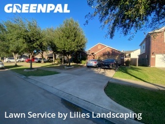 Lawn Care nearby Rosenberg, TX, 