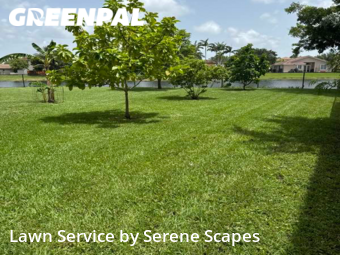 Yard Cutting nearby Homestead, FL, 