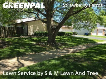 Lawn Mowing Service nearby Columbus, OH, 