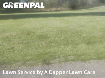 Grass Services in Bellingham, 98226, Yard Maintenance by A Dapper Lawn Care, work completed in Nov , 2025