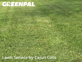 Lawn Maintenance nearby Murfreesboro, TN, 