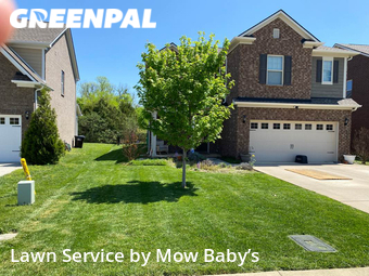 Grass Cut nearby Murfreesboro, TN, 