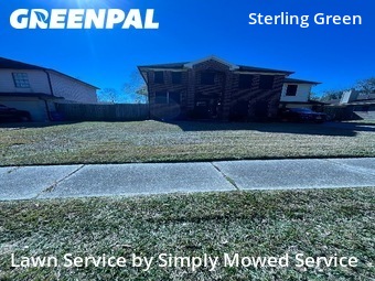Lawn mowed in Channelview, 77530