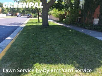 Lawn Maintenance nearby Berwyn, IL, 