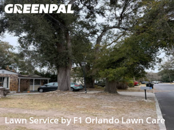 Affordable Landscaping Maintenance Services In Orlando,32807,Landscaping Maintenance by F1 Orlando Lawn Care, work completed in Feb , 2026