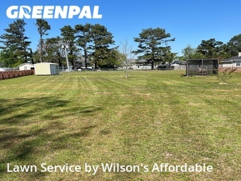 Lawn Mow nearby Valdosta, GA, 