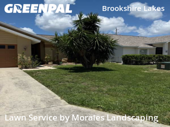 Grass Cutting nearby Fort Myers, FL, 