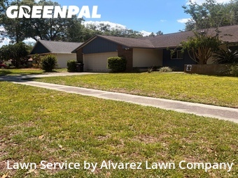 Grass Cuttingin Altamonte Springs,32701,Grass Cut by Alvarez Lawn Company, work completed in Jul , 2026