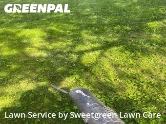 Grass Cut nearby Pittsburgh, PA, 