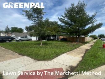 Lawn Mowing Service nearby Aurora, IL, 