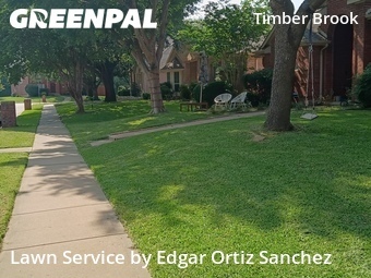 Lawn Cuttingin Plano,75074,Yard Cutting by Edgar Ortiz Sanchez, work completed in Jun , 2026