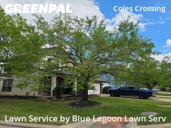 Lawn Cutin Cypress,77429,Grass Cut by Blue Lagoon Lawn Serv, work completed in Jun , 2026