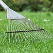 local-lawn-and-landscape-maintenance-services-near-me-in-Lake Havasu City-AZ