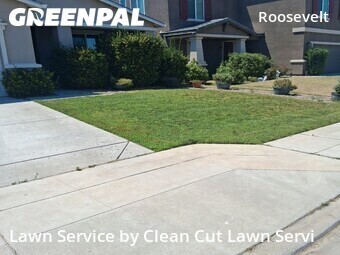 Work completed by local-lawn-cutting-services-in in Fresno, CA