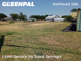 Lawn Care Service nearby Converse, TX, 