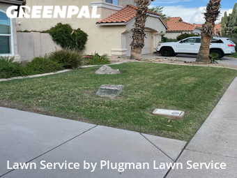 Grass Cut nearby Chandler, AZ, 