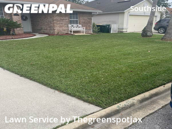 Grass Cut nearby Jacksonville, FL, 