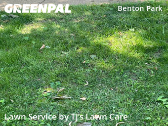 Yard Mowing nearby St. Louis, MO, 