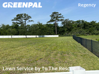 Grass Cut nearby Jacksonville, FL, 