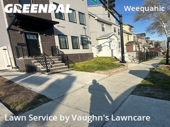 Lawn Cutting nearby Newark, NJ, 