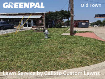 Lawn Cutin Keller,76248,Lawn Care by Calixto Custom Lawns, work completed in Nov , 2025
