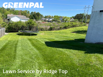 Lawn Service nearby Knoxville, TN, 