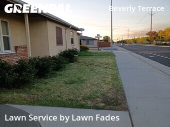 Lawn Mow nearby Sacramento, CA, 