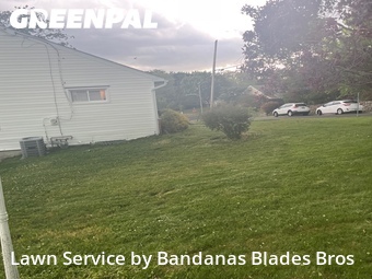 Grass Cutting nearby Willow Grove, PA, 