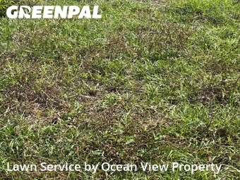 Lawn Cutting nearby Port St. Lucie, FL, 