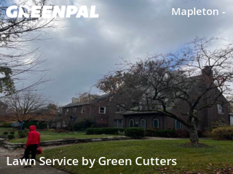 Grass Cutting nearby Indianapolis, IN, 