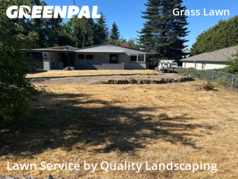 Weed Trimming in Redmond, 98052, Yard Management by Quality Landscaping, work completed in Oct , 2025