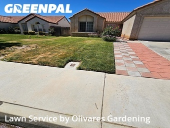 Grass Cutting nearby Palmdale, CA, 