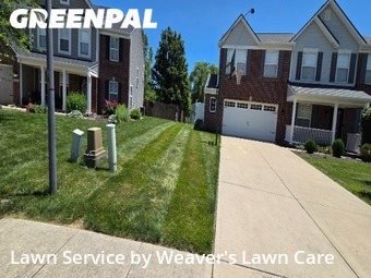 Lawn Mow nearby New Palestine, IN, 