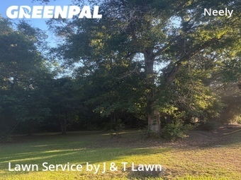 Lawn Cut nearby Mobile, AL, 