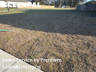 Yard Cutting nearby Pace, FL, 