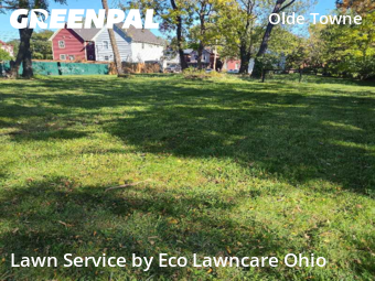 Landscaping Services In Columbus,43205,Landscapers by Eco Lawncare Ohio, work completed in Oct , 2025