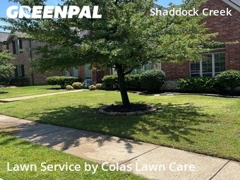 Lawn Cut nearby Frisco, TX, 