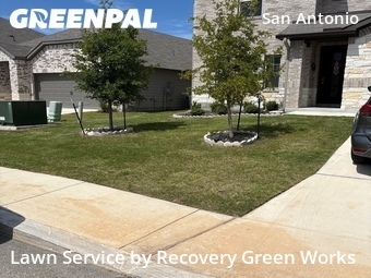 Lawn Cut nearby San Antonio, TX, 