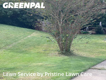 Lawn Cut nearby Taylors, SC, 