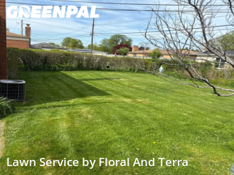 Yard Mowing nearby Warren, MI, 