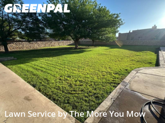 Yard Mowing nearby Socorro, TX, 