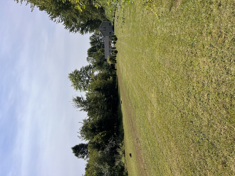Work Image 2