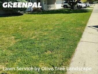 Grass Cut nearby Boise, ID, 