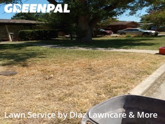 Lawn Mowing Service nearby Schertz, TX, 
