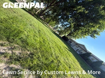 Lawn mowed in Wayne, 48184