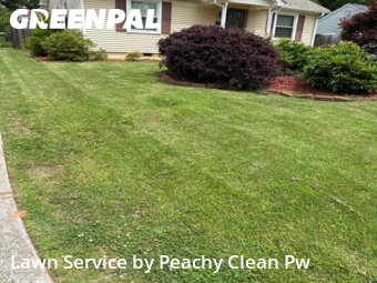 Lawn Cut nearby Carrollton, GA, 