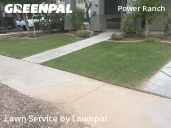 Modern Landscaping In Gilbert,85297,Landscaping Installation by Lawnpal, work completed in Nov , 2025