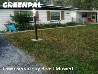 Lawn Cutting nearby St. Petersburg, FL, 