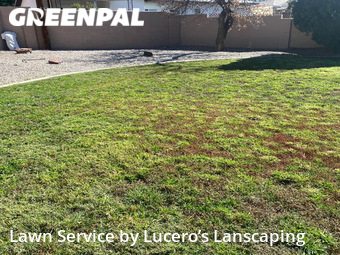 Lawn Cutting nearby Albuquerque, NM, 