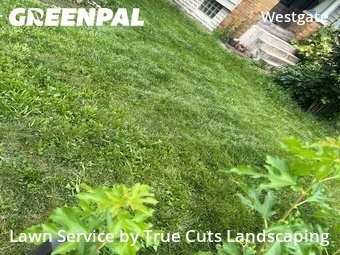 Grass Cutting nearby Columbus, OH, 